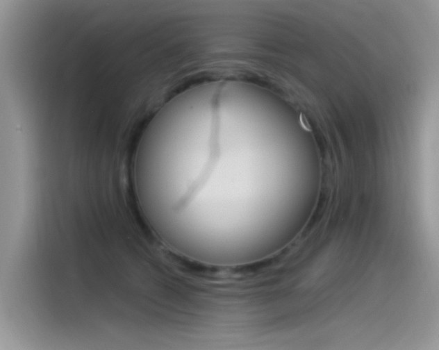 X0000115850562200911131129
