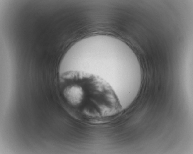 X0000115850563200911131129