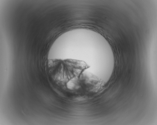 X0000115850567200911131129