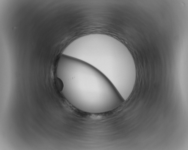 X0000115850570200911131129