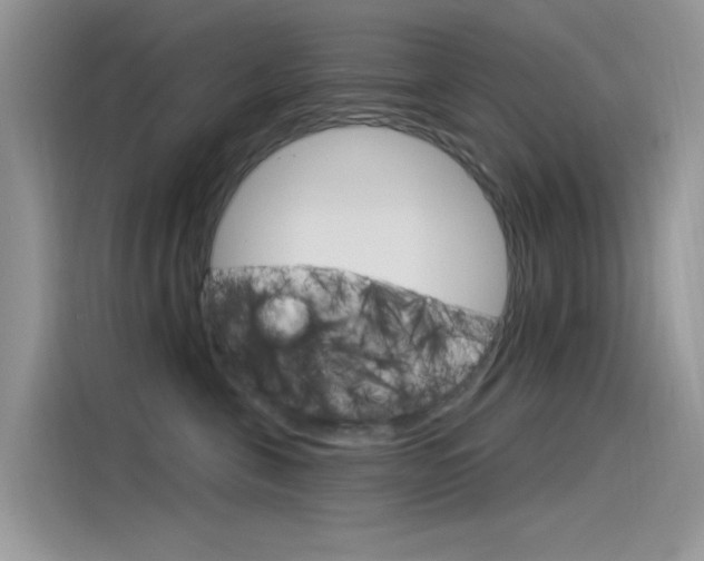 X0000115850571200911131129