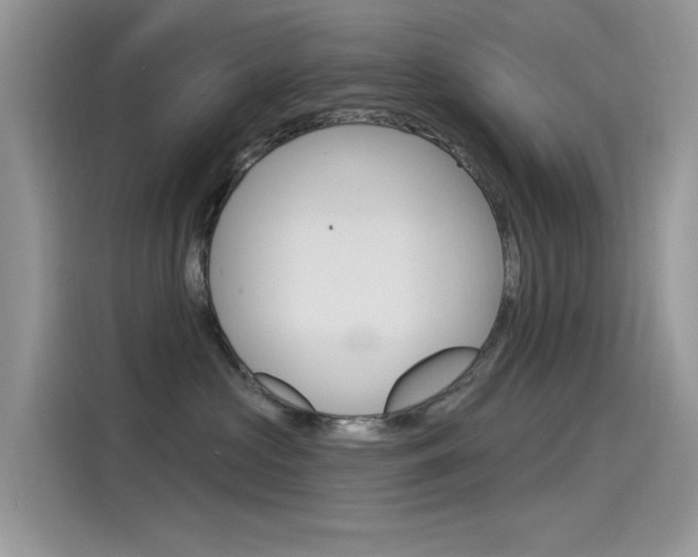 X0000115850573200911131129