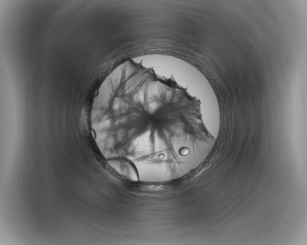 X0000115850575200911131129