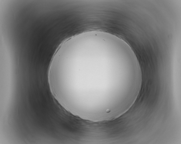 X0000115850579200911131128