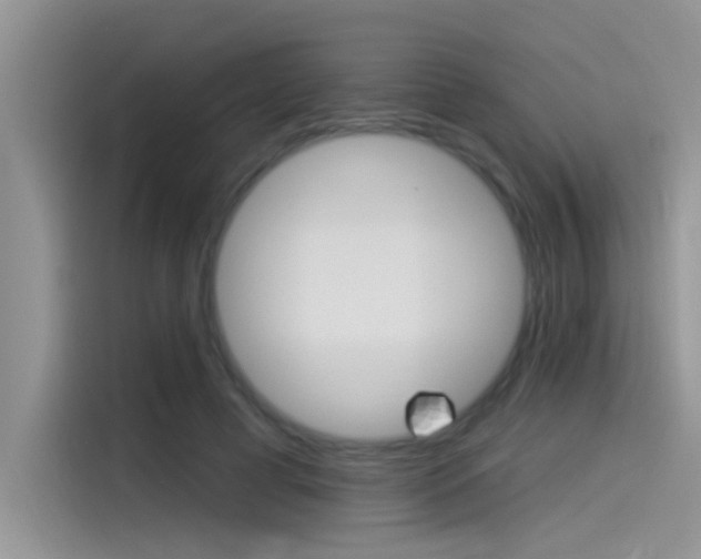 X0000115850593200911131128