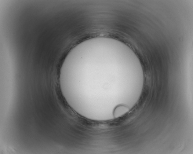 X0000115850594200911131128