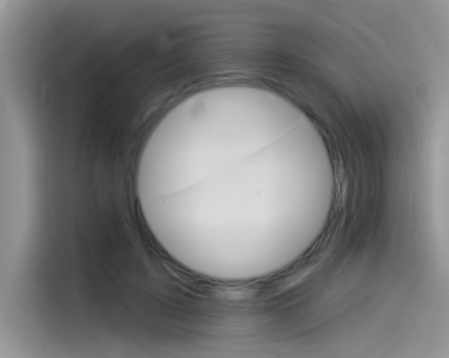 X0000115850595200911131128