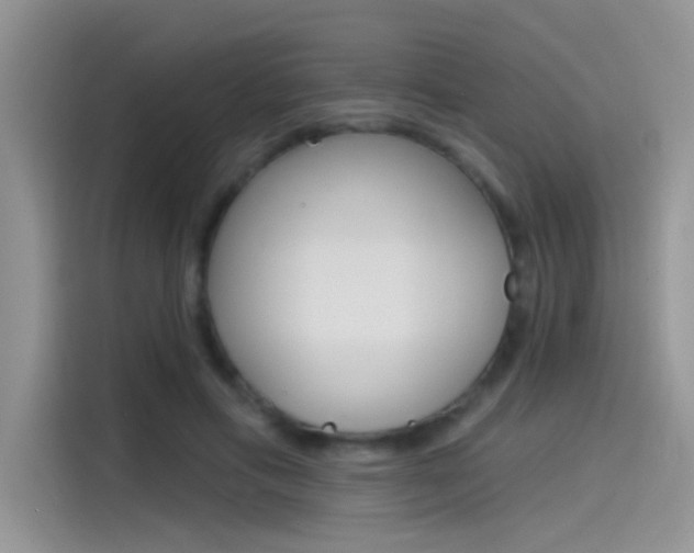 X0000115850597200911131128
