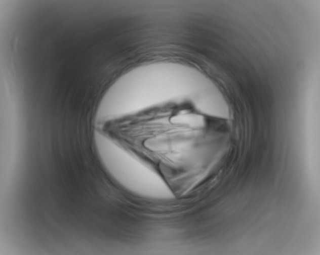 X0000115850605200911131128