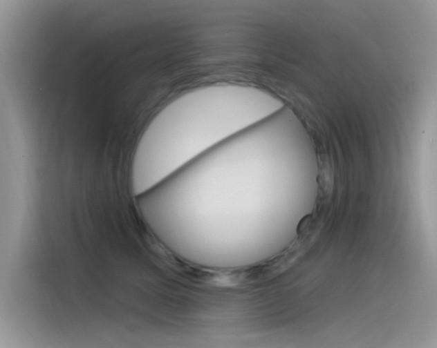 X0000115850611200911131128