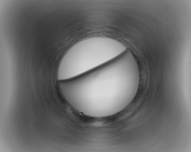 X0000115850612200911131128