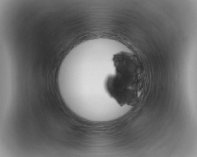 X0000115850613200911131128