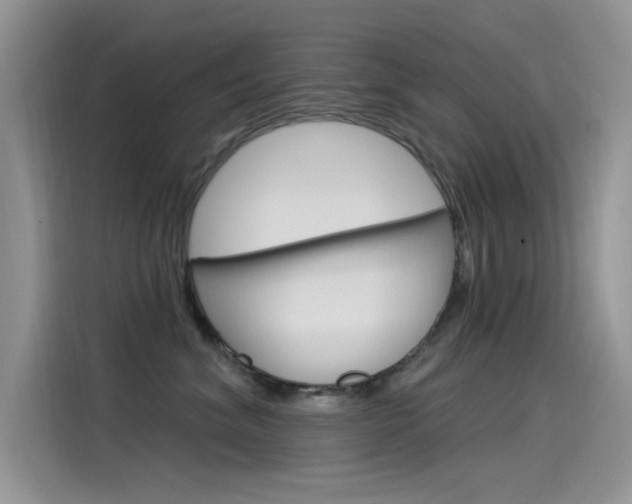 X0000115850620200911131128