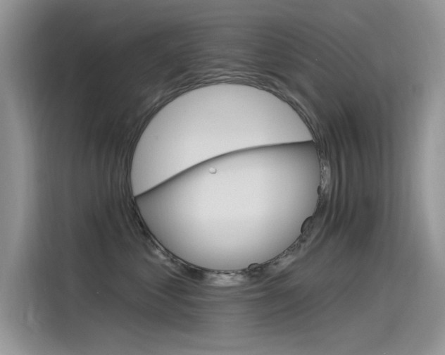 X0000115850621200911131128