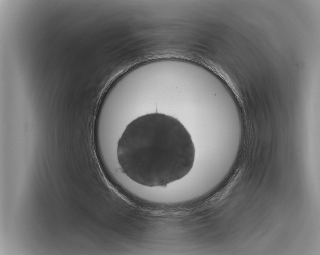 X0000115850625200911131127