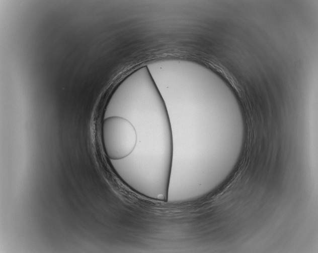 X0000115850626200911131127
