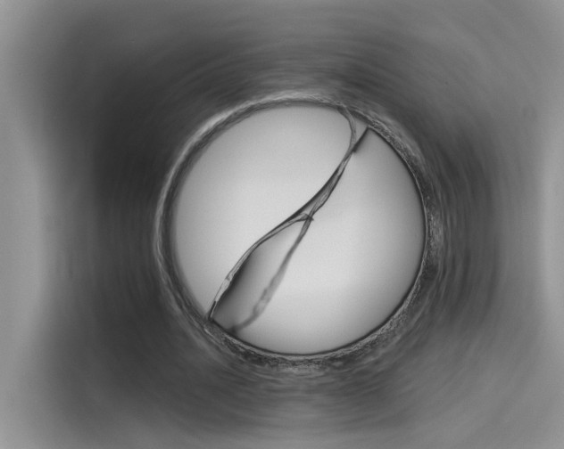 X0000115850628200911131127