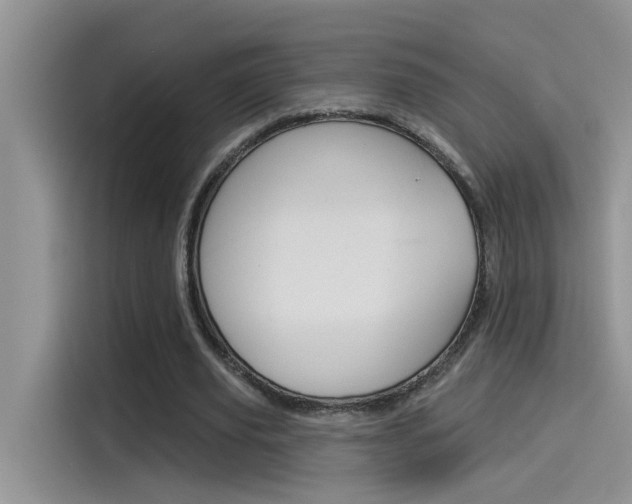 X0000115850629200911131127