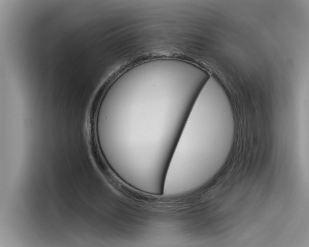 X0000115850630200911131127