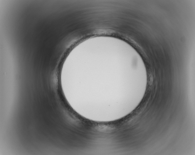 X0000115850632200911131127