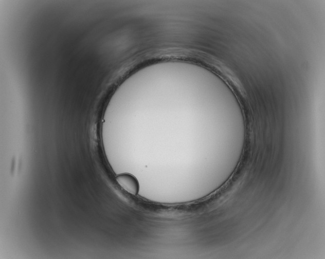 X0000115850633200911131127