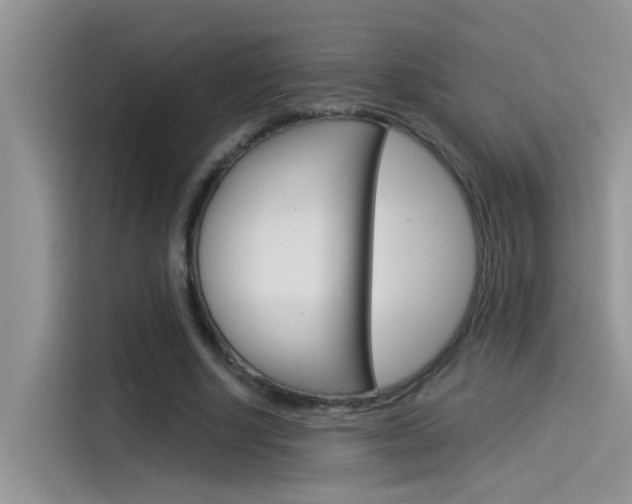 X0000115850634200911131127