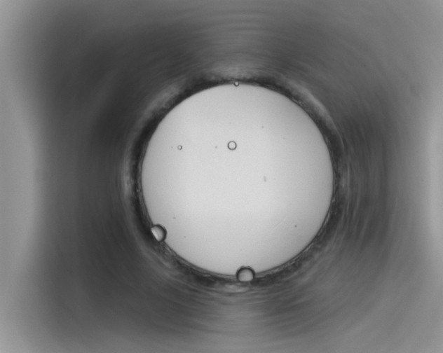 X0000115850635200911131127