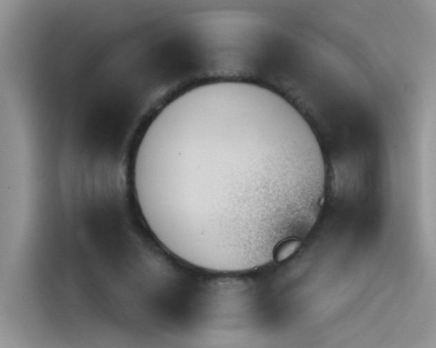 X0000115850636200911131127