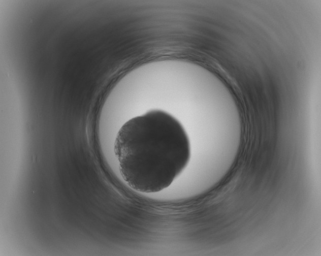 X0000115850637200911131127