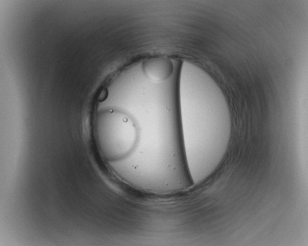 X0000115850638200911131127