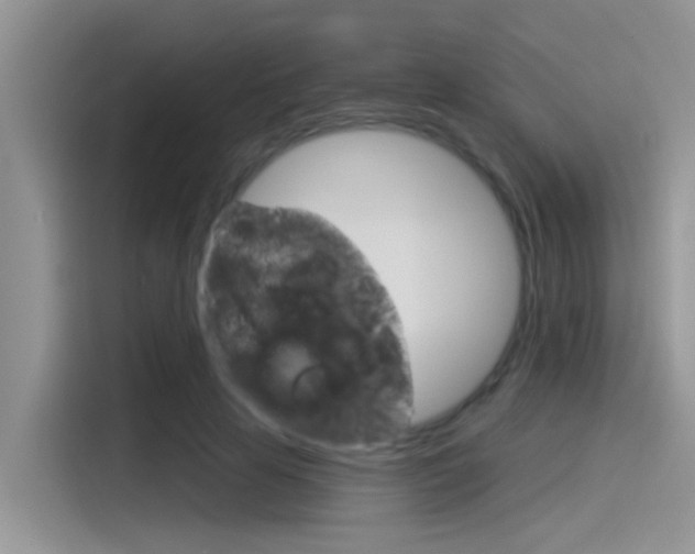 X0000115850641200911131127