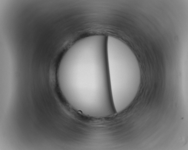 X0000115850642200911131127