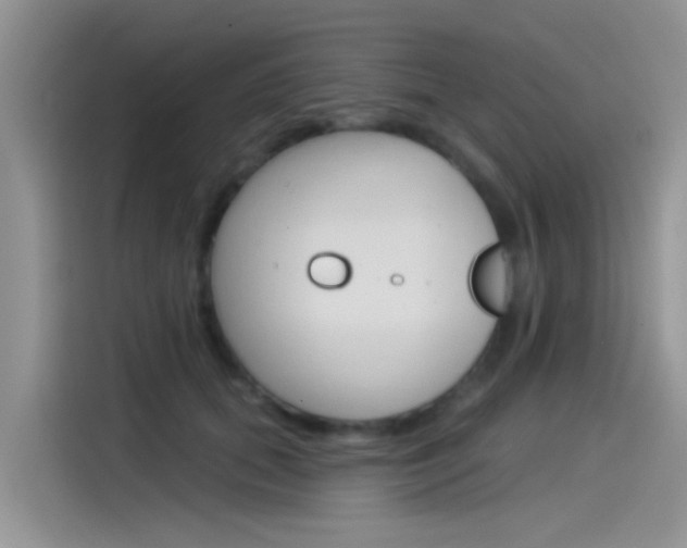 X0000115850655200911131127