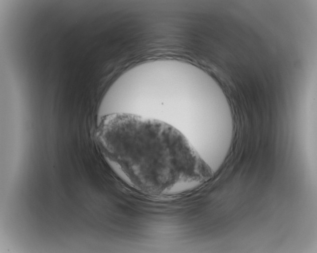 X0000115850661200911131127