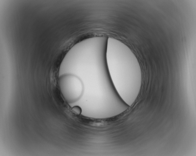 X0000115850666200911131127
