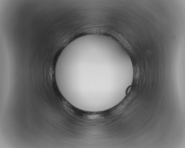 X0000115850669200911131128