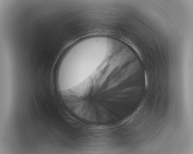 X0000115850675200911131127