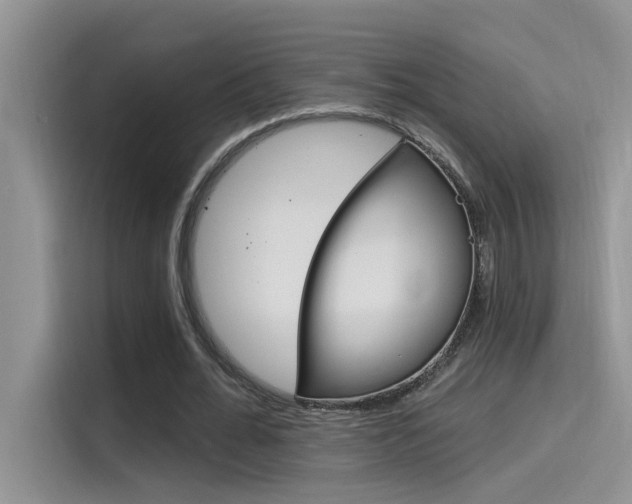 X0000115850676200911131127