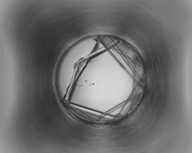 X0000115850677200911131127