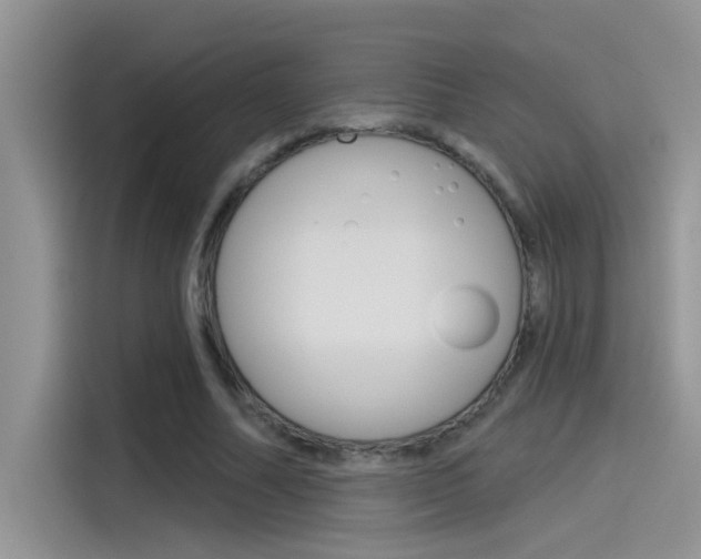 X0000115850682200911131127