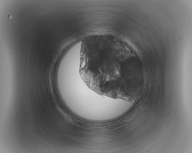 X0000115850683200911131127