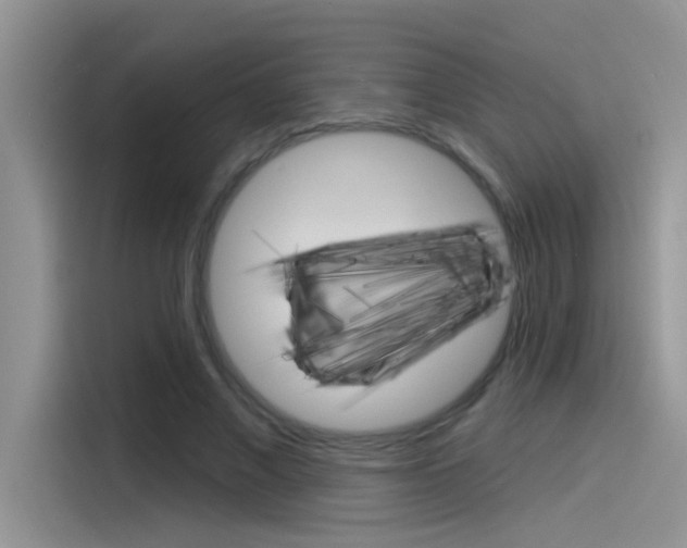 X0000115850685200911131127