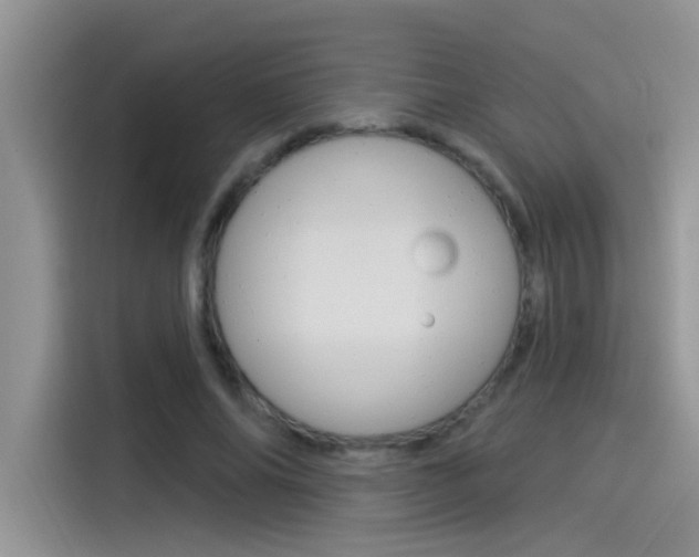 X0000115850686200911131127