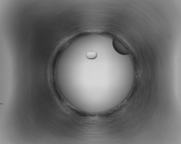 X0000115850688200911131127