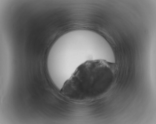 X0000115850691200911131127