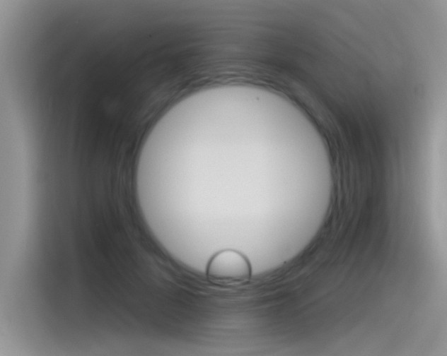 X0000115850696200911131127