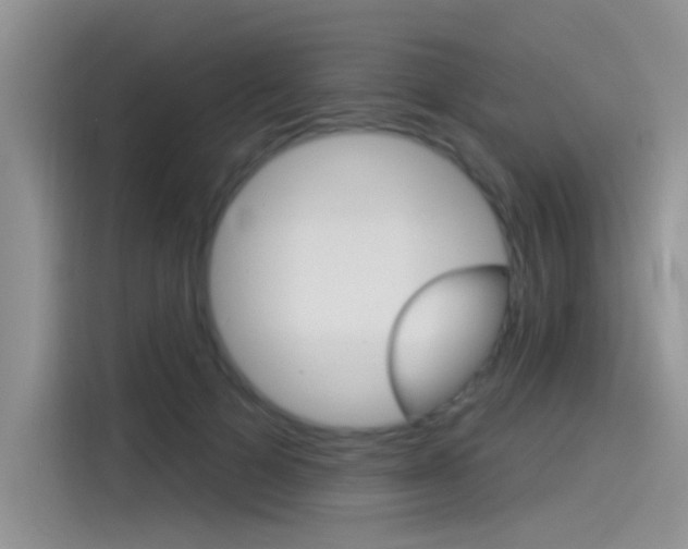 X0000115850697200911131127