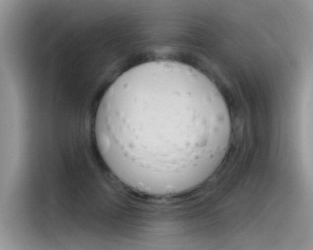 X0000115850698200911131127