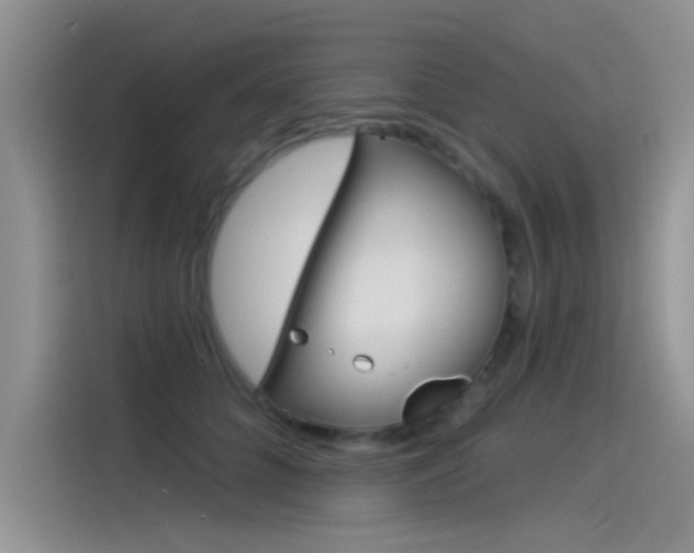 X0000115850704200911131127