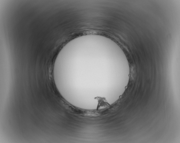 X0000115850714200911131126